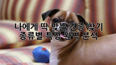 나에게 딱 맞는 견종 찾기🐶🐾 종류별 특징 완벽 분석!